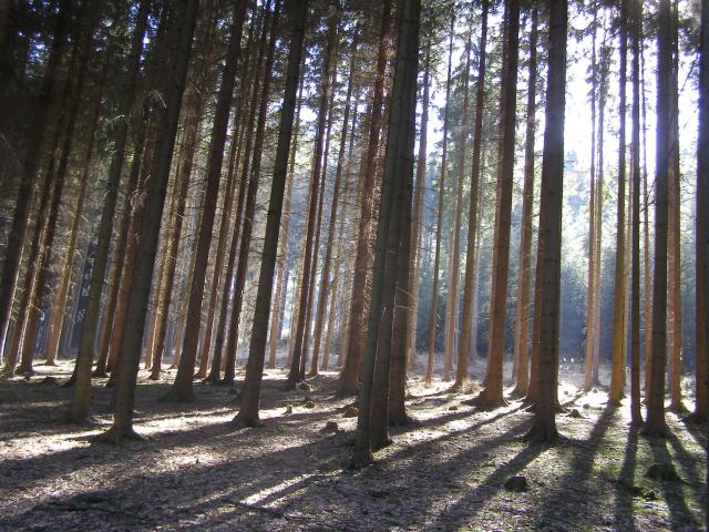 Interier Hradce